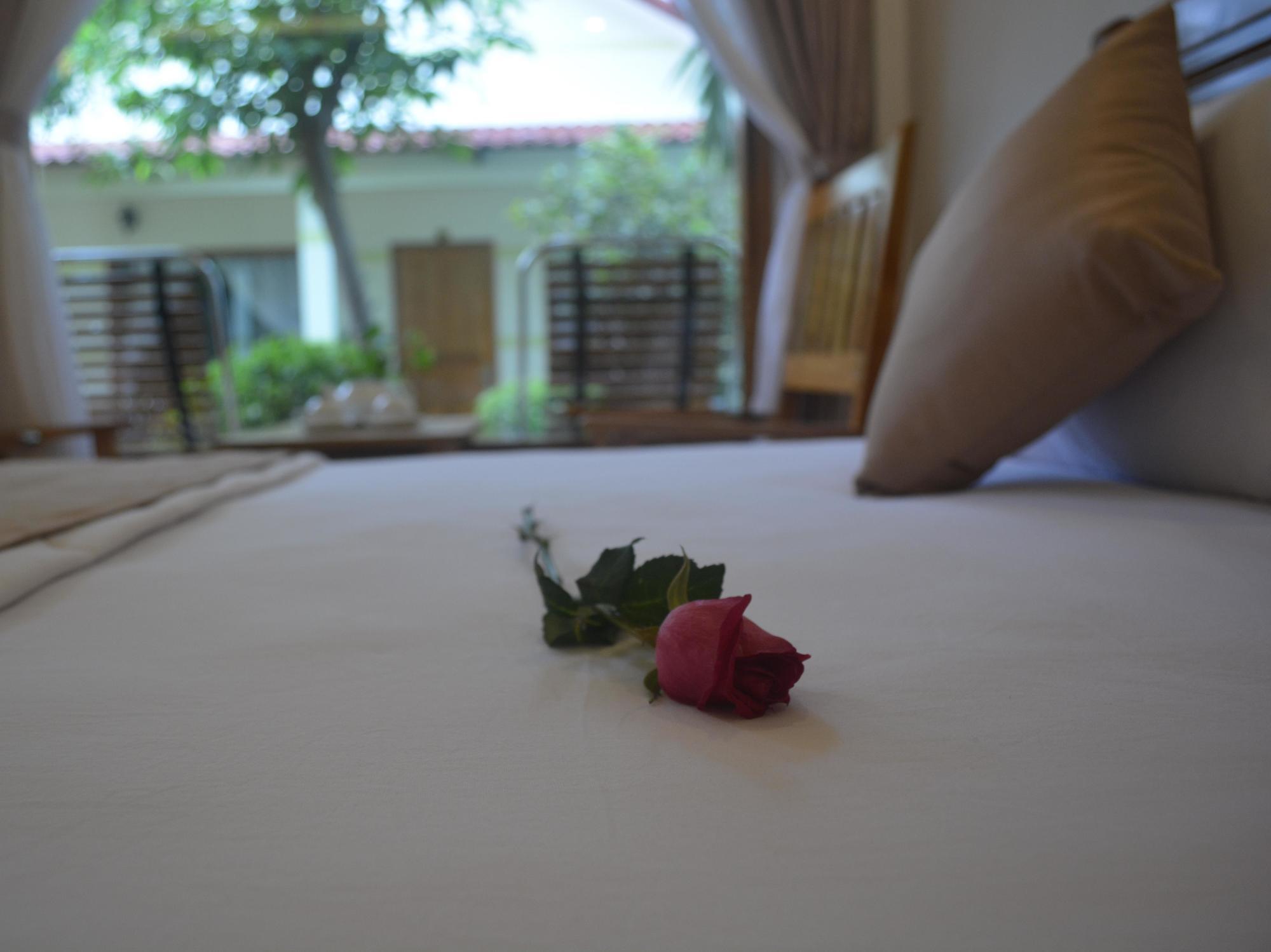 Ngoc Viet Bungalow دونغ دونغ المظهر الخارجي الصورة